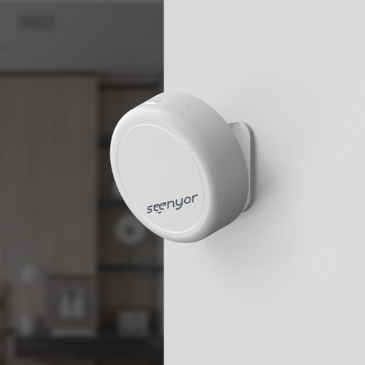 AI Safety Sensor – The Heart of Smart Care